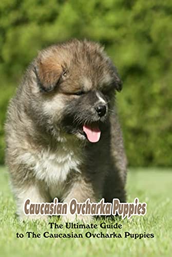Caucasian Ovcharka Puppies: The Ultimate Guide to The Caucasian Ovcharka Puppies (English Edition)