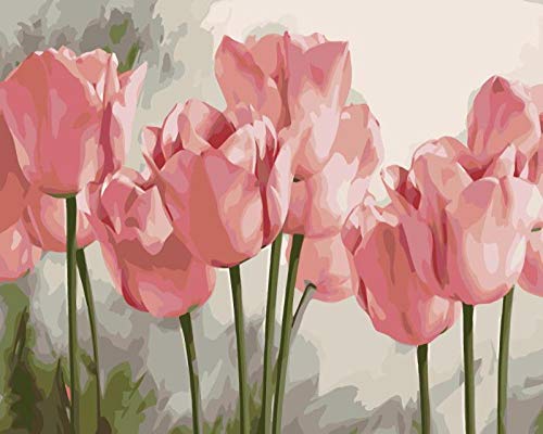 Cuadros Para Pintar Por Numeros Adultos,Flor De TulipáN Rosa DIY Pintura por Lienzos Para Pintar por Número De Kits Al Óleo Pintar con Pinceles y Pigmento acrílico,regalo de cumpleaños,50x40 Cm