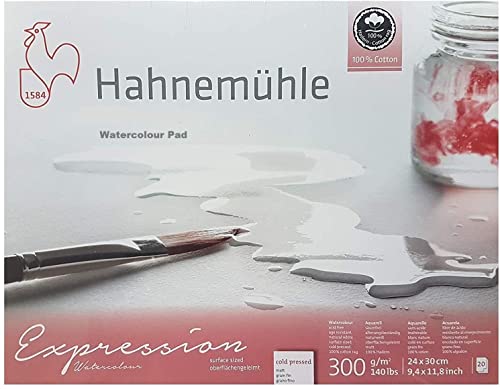 Hahnemühle Expression Cartulina de acuarela, 100% algodón, mate, 300 g/m², 24 x 30 cm, 20 hojas, fabricado en Alemania