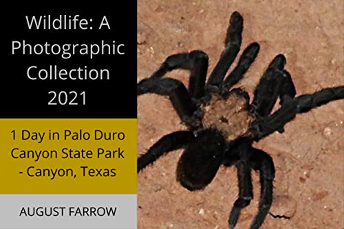 Wildlife: 1 Day in Palo Duro Canyon State Park, Canyon, Texas – 2021: A Photographic Collection (Wildlife: Amarillo & Surrounding, Texas) (English Edition)