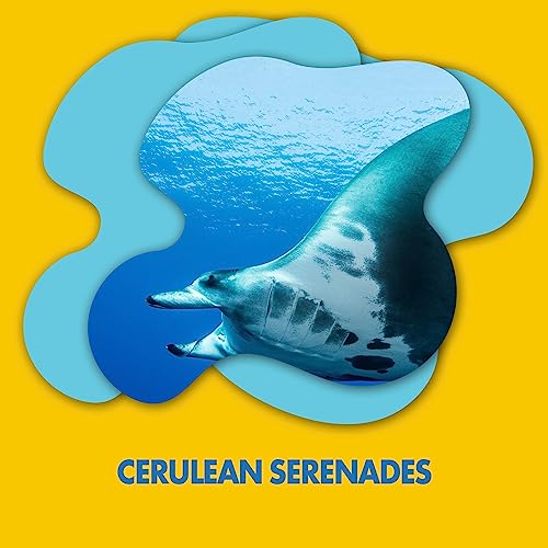 Cerulean Serenades