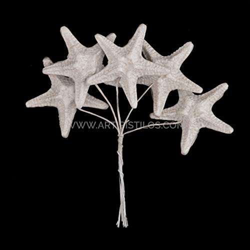 Artipistilos® Estrella De Mar De Porcelana Fría 3,5 Cm - Marfil - Flores De Porcelana