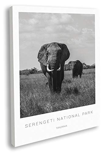 Artesta Cuadro en lienzo Elephants in Serengeti (50x70)