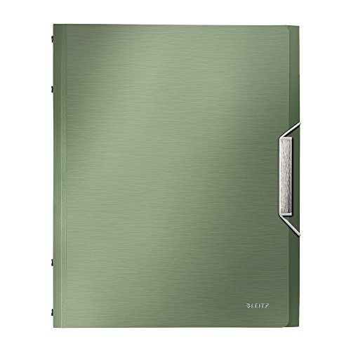 LEITZ 39960053 - Carpeta clasificador STYLE PP 12 separadores DIN A4 color verde celadón