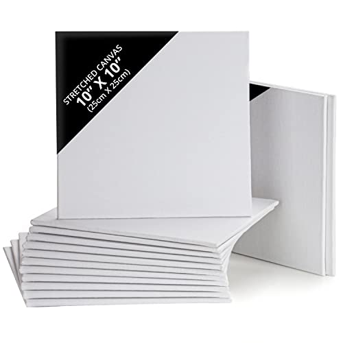 Belle Vous Pack de 14 Lienzos para Pintar en Blanco 25 x 25 cm – Set Panel de Lienzo Preestirado – Aptos para Pintura Acrílica y al Óleo - Lienzo Blanco para Bocetos y Dibujos