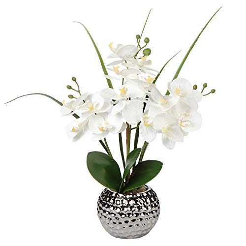 Briful Planta de orquídea artificial de 20.8 pulgadas Phalaenopsis de tacto real en maceta de cerámica plateada para mesa de comedor de boda, decoración del hogar, flores falsas de color blanco de