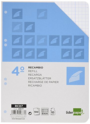 Recambio liderpapel cuarto 100 hojas 60g/m2 cuadro 6mm con margen 6 taladros