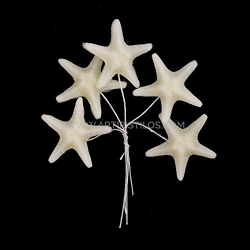 Artipistilos® Estrella De Mar De Porcelana Fría 3,5 Cm - Blanco Mate - Flores De Porcelana
