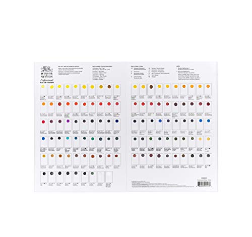 Winsor & Newton 0190814 - Tarjeta de puntos de colores impermeables (109 colores)