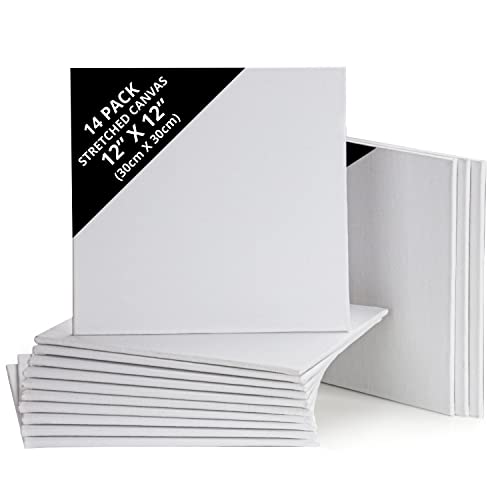 Belle Vous Pack de 14 Lienzos para Pintar en Blanco 30 x 30 cm – Set Panel de Lienzo Preestirado – Aptos para Pintura Acrílica y al Óleo - Lienzo Blanco para Bocetos y Dibujos