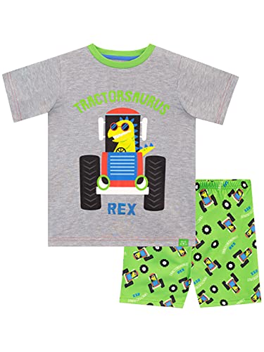Harry Bear Pijamas para Niños Tractor Dino Gris 5-6 Años