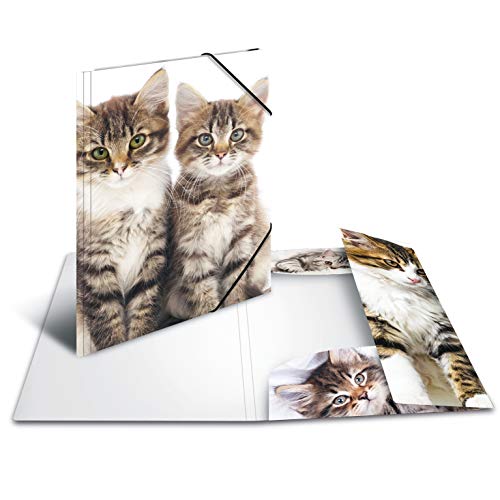 HERMA 7143 Carpeta de dibujo Animales con motivo Gatos, A3, plástico resistente, con impresión interior, carpeta de 1 palmo