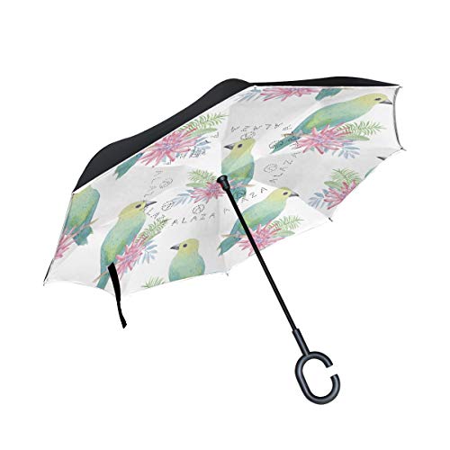MONTOJ Paraguas de Doble Capa con Forma de C para Dibujo de pájaros, Plegable, a Prueba de Viento, a Prueba de Rayos UV, invertido con asa y Paraguas de Viaje
