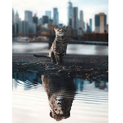 DCIDBEI Diamond Painting Diamantes Cuadrados 40x50cm Pintura Diamante Gato Leon Puzzle de Diamantes de Gatos Punto de Diamante Reflejo Gato Punto de Cruz Diamante Leon Dibujos de Diamantes de Animales