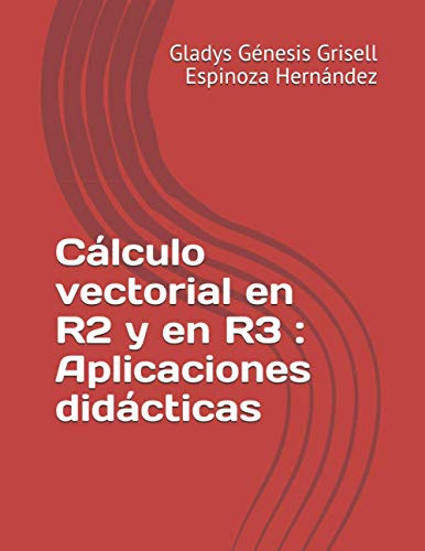 Cálculo vectorial en R2 y en R3 : Aplicaciones didácticas