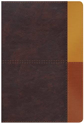 RVR 1960 Biblia de Estudio Arco Iris, gris pizarra/oliva sím: Reina-Valera 1960, Cocoa/Terracota Símil Piel Leather