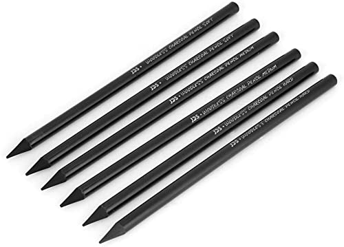 Ftvogue Set de LáPices de Carboncillo Palos Sin Madera Materiales de Dibujo Para Dibujos Impresionantes Negro(6pcs/set)