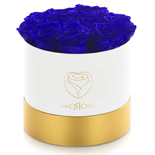 Amoroses Edición Limitada – Caja de Regalo 12 Rosas Eternas Estabilizadas - Elegante Ramo de Flores Reales (Caja Blanca con Rosas Azules)