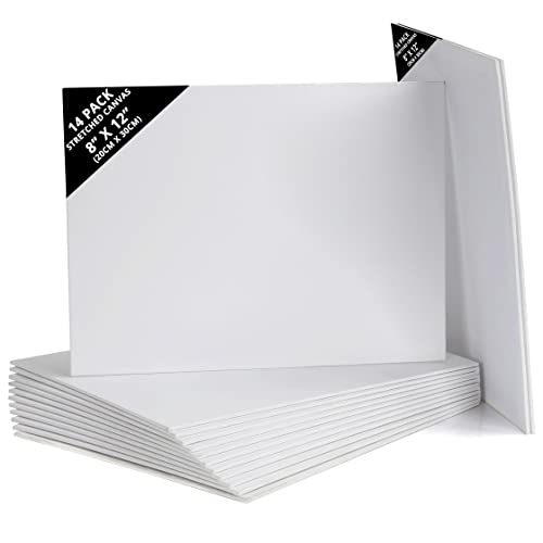 Belle Vous Pack de 14 Lienzos para Pintar en Blanco 20 x 30 cm – Set Panel de Lienzo Preestirado – Aptos para Pintura Acrílica y al Óleo - Lienzo Blanco para Bocetos y Dibujos