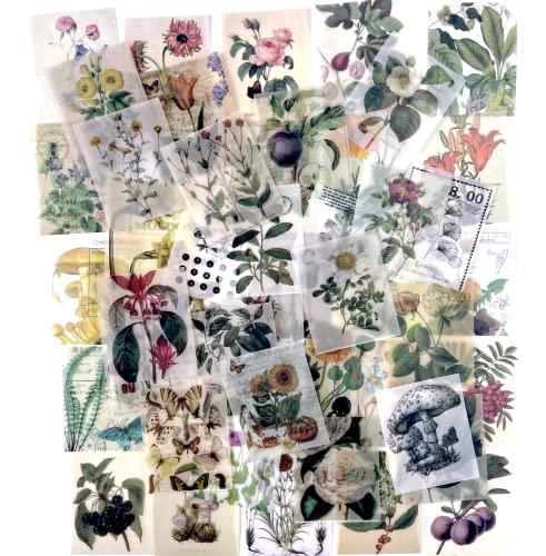 366 piezas vintage DIY scrapbooking DIY material papel, papel de noticias de plantas carta decorativa antigua retro colección natural arte arte arte (flor)