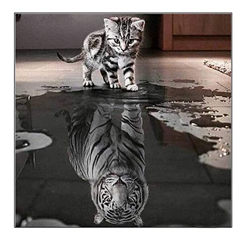 MWOOT DIY 5D Diamante Pintura Kits,5D Diamond Pasted Painting Bordado Punto de Cruz Diamante Craft Hogar Pared Decoración (30x30cm)-Gato y Tigre