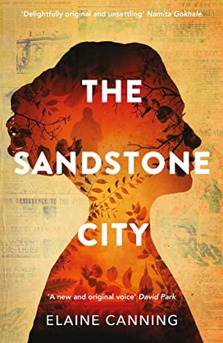 The Sandstone City (English Edition)