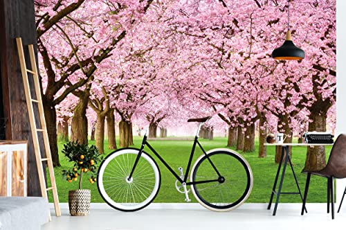 GREAT ART Mural de pared – Árbol De Cerezo En Flor – Primavera Naturaleza Paisaje Avenida Flor De Cerezo Flor De Sakura Primavera Foto Tapiz Y Decoración (336 x 238 cm)
