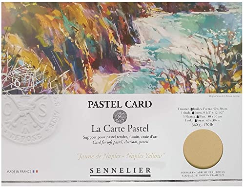 Sennelier Pastel sec Card (papel de lija de grano fino) bolsillo 30x40cm 6 hojas (Amarillo Nápoles - AMARILLO NAPOLES) 360gs