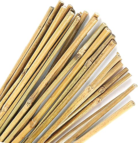 Varillas de Bambú Naturales Ecológicas. 30 Estacas para Uso Agrícola y Huertos Domésticos. Tutores para Tomateras y Otras Plantas. (180 cm (10-12 mm diámetro))
