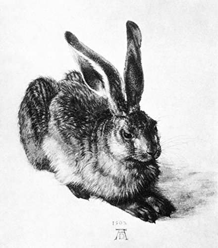 The Poster Corp D_RER: A Young Hare 1502. /Ndrawing by Albrecht D�RER. Artistica di Stampa (60,96 x 91,44 cm)