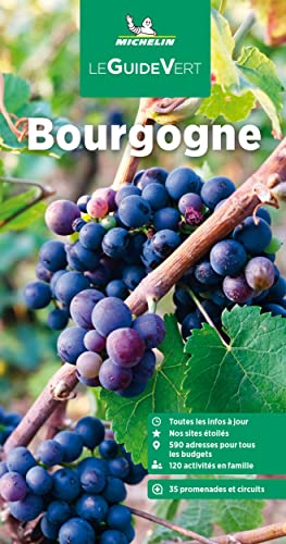 Guia Verde Bourgogne (00307) (Guia Verde (frances))