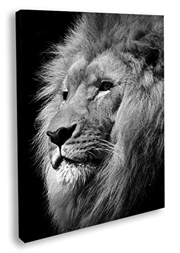 Artesta Cuadro en lienzo Lion's face (60x90)