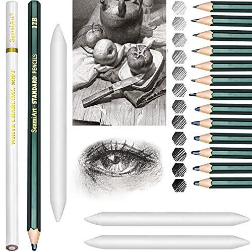 18 PCS Lapiceros Dibujo Profesional Juego de Lápices de Dibujo para Artistas o Niños 2H-10B (15pcs Lápices para Dibujo Artístico y 3pcs Difuminos de Papel)