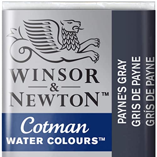 Winsor & Newton Cotman Acuarela En Pastilla, Grís De Payne, 1,9x1,6x1,1 cm