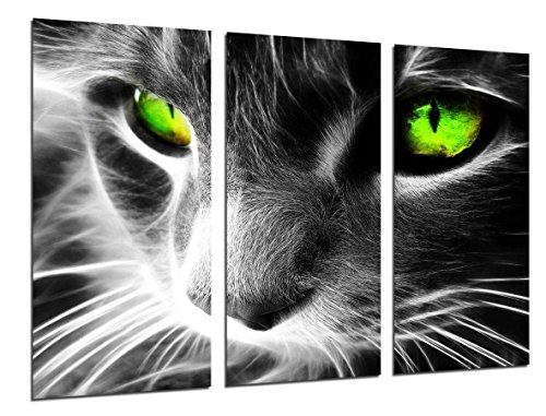 Cuadro Fotográfico Gato Ojos de Colores, Animales Tamaño total: 97 x 62 cm XXL, Multicolor