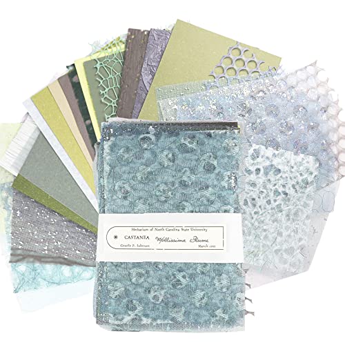 BestYiJo 30 Hojas Pegatinas Scrapbooking, Papel Decoupage Album Scrapbooking, Papel Craft, Pegatinas Vintage, Material Manualidades, Stickers Aesthetic, Journaling DIY Manualidad Cartulina (B)