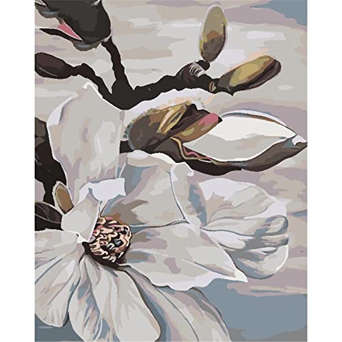 Kits De Pintura Por Números Para Adultos Flores Blancas Florecientes Sobre Lienzo Fáciles De Pintar Para Principiantes Y Niños, Pintura Acrílica Diy Por Números 40x50cm