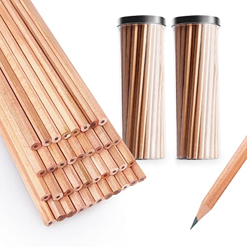 2B Pencil Paquete de 50 lápices hexagonales de madera natural en un cubo Escritura suave para exámenes de puntuación de computadora Escuelas Oficinas Dibujo Esbozo