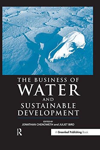 The Business of Water and Sustainable Development: Making Environmental Product Information Systems Effective (English Edition)