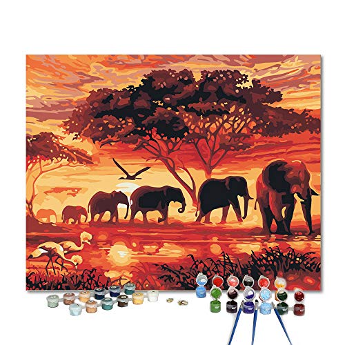 Pintar por numeros Adultos – Cuadros para Pintar por números con Pinceles y Colores Brillantes - Lienzos para Pintar con Dibujo – Sin Marco (Elefantes)