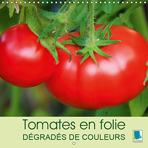 Tomates en folie - degrades de couleurs (calendrier mural 2019 300 * 300 mm square) - les tomates - (Calvendo Nature): Les tomates – elles prennent ... toute rondes (Calendrier mensuel, 14 Pages )