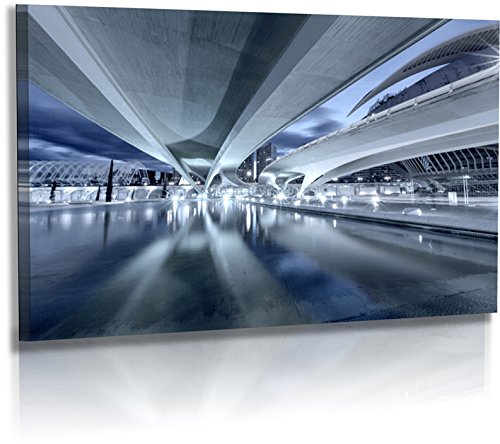 Fotoatelier Dirk Haas Premium Aludibond XXL – Arquitectura – Imágenes – España – Valencia – Museo Artes Ciencias – Aluminio Dibond : 150 cm x 75 cm