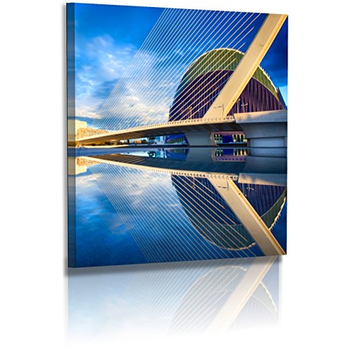 Premium – Póster – Fotografías – Artes Ciencias – España – Valencia – Museo Artes Ciencias