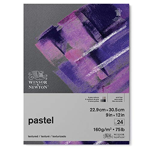 Winsor & Newton Papel pastel(22,9 x 30,5 cm), Tonos Grises, 22,9 x 30,5cm