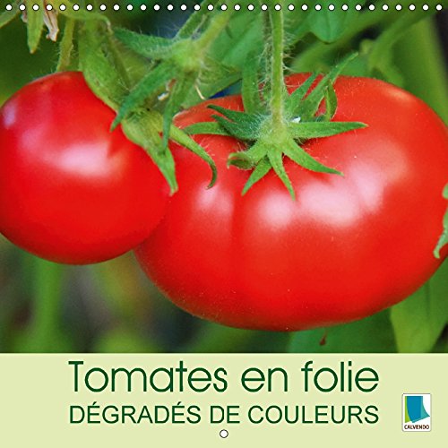 Tomates en folie - dégradés de couleurs: Les tomates - elles prennent toutes les formes: ovoïde ou allongées, en forme de coeur ou toute rondes. Calendrier mural 2017 (Calvendo Nature)