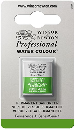 Winsor & Newton Professional Pintura a Base de Agua, Verde (Permanent Sap Green 503), Media Pastilla