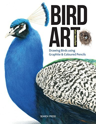 Bird Art: Drawing birds using graphite & coloured pencils (English Edition)