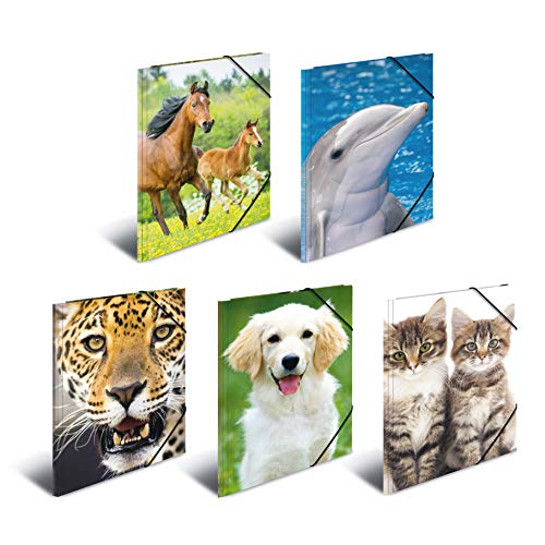 HERMA 7147 Carpeta de dibujo Animales, Paquete de 10, A4, plástico resistente, con impresión interior, carpeta de 1 palmo
