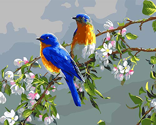 Pintar por números para niños adultos kit de pintura al óleo DIY Principiante - Jardín Paisaje Flores y Pájaros 329