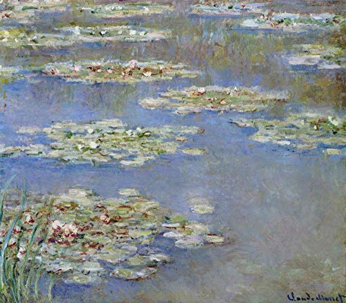 Pintar por numeros Adultos Claude Monet-Nenúfares Cuadros para Pintar por números con Pinceles y Colores Brillantes - Lienzos para Pintar con Dibujo